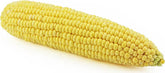 FRESH ORGANIC CORN (approx. 0.22 kg)
